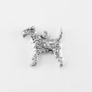 Fox Terrier, Wire-haired